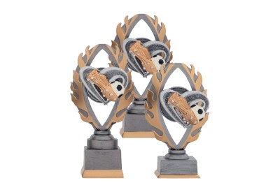Trofej EDICE FOTBAL