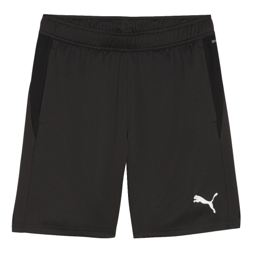 Tréninkové trenky Puma teamGOAL