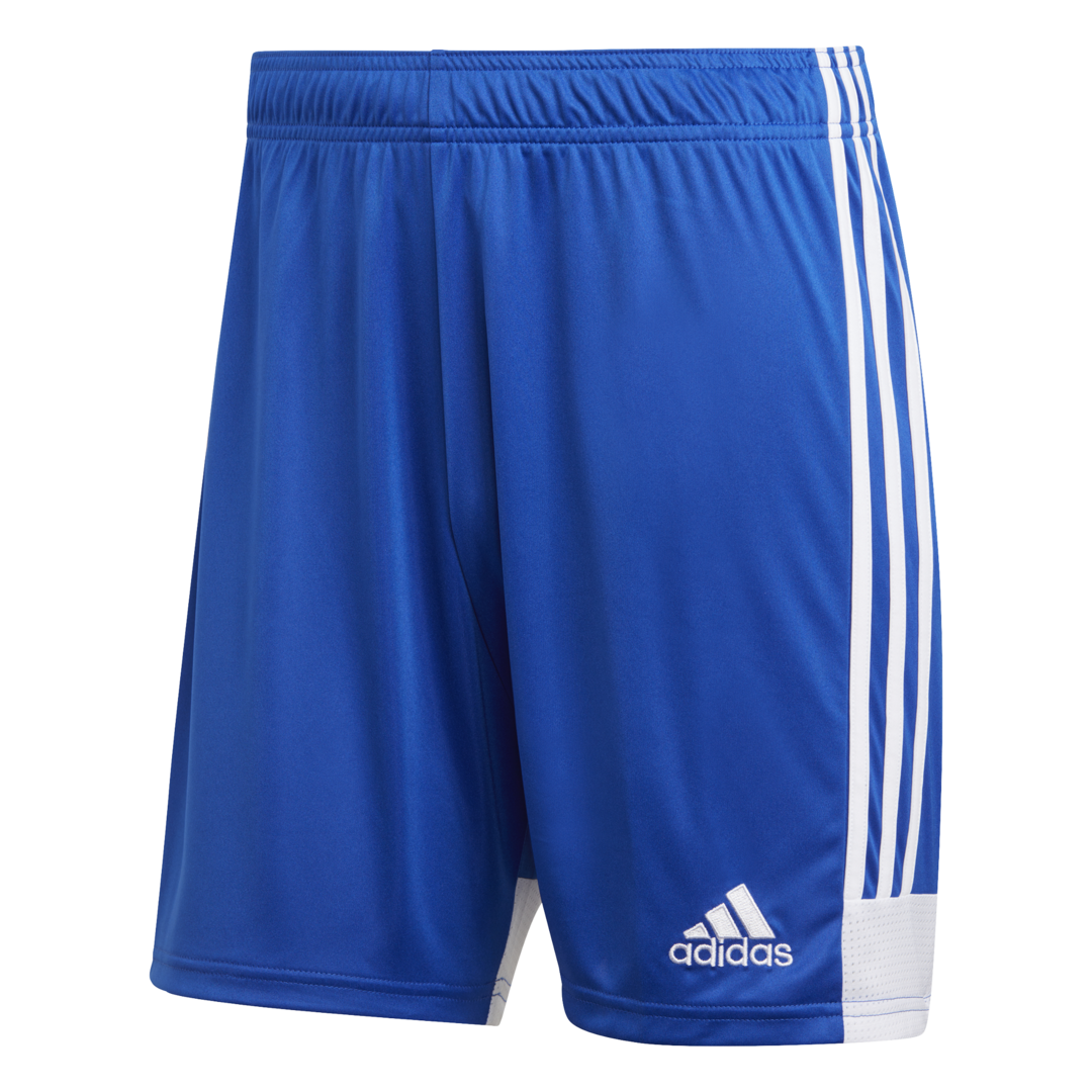 Adidas Tastigo 19 modrá/bílá UK L Pánské